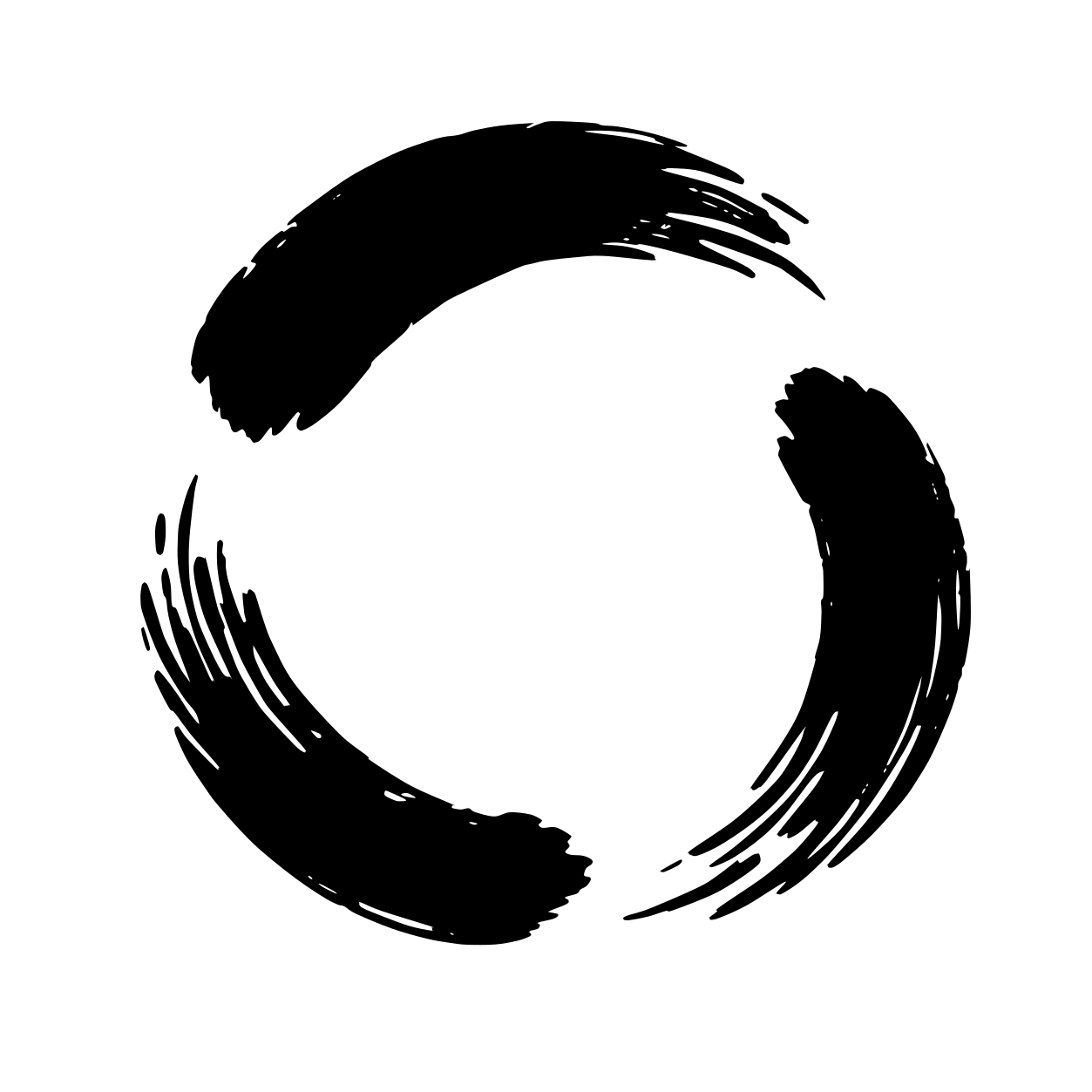 Stoa Novus